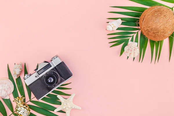 Yaratıcı düz yatıyordu üstten görünüm yeşil tropikal palmiye yaprakları Hindistan cevizi meyve ve eski fotoğraf makinesi pembe Kağıt arka plan üzerinde kopya alanı ile. En az tropikal palmiye yaprağı bitki yaz seyahat kavramı şablonu