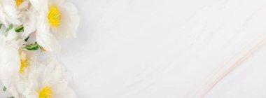 Güzel çiçek beyaz şakayık çiçekleri kopya alanı en az tarzı, şablon tasarımınızın mermer zemin üzerine. Düğün davetiyesi ve kutlama tebrik kavramı. Uzun geniş afiş