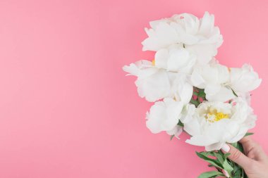 Çiçek beyaz şakayık pastel renk Kağıt arka plan kopya alanı en az tarzı, kartpostal, yazı, metin için şablon ile tasarımınızı çiçekler. Düğün davetiyesi ve kutlama tebrik kavramı