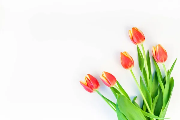 Creatieve Plat Lag Bovenaanzicht Welkom Lente Wenskaart Met Rode Tulpen — Stockfoto