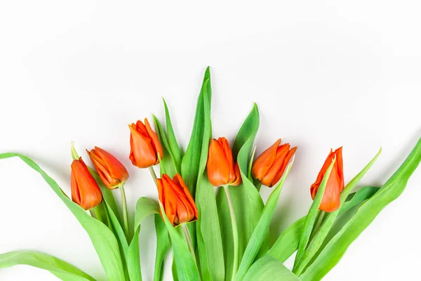 Kreative Flache Lageansicht Willkommensgrußkarte Mit Roten Tulpenblumen Auf Weißem Hintergrund — Stockfoto