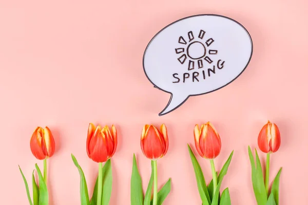 Kreative Flache Lageansicht Willkommensgrußkarte Mit Roten Tulpenblüten Auf Lebendigem Korallenrosa — Stockfoto