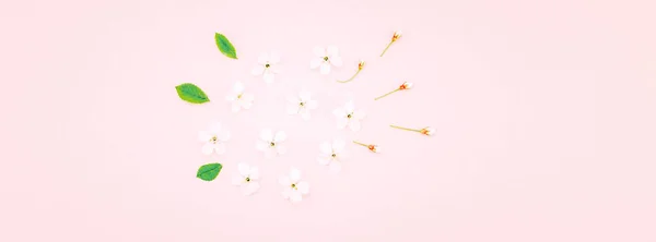 Kreative Draufsicht Kirschbaum Blühende Blumen Rahmenmuster Auf Grauem Hintergrund Mit — Stockfoto