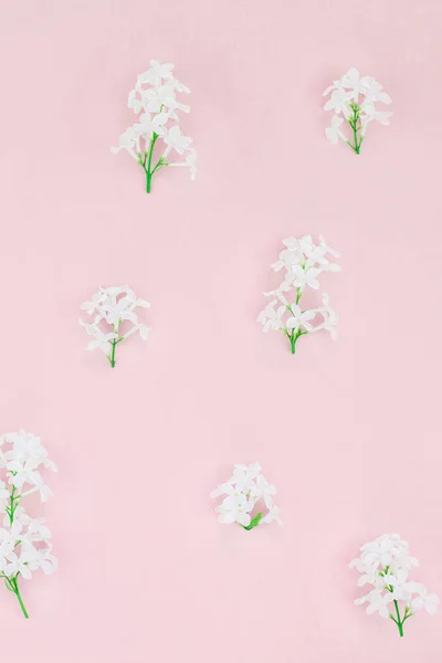 Creative flat lay concept top view of white lilac flowers petals on pastel pink background with copy space in minimal style, template for lettering, text or design