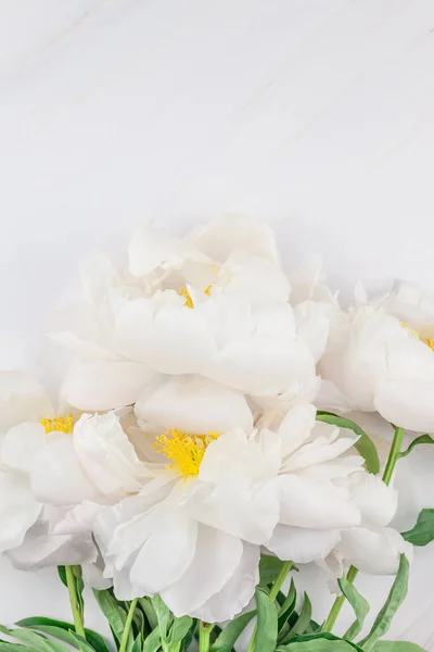 Hermosas Flores Peonía Blanca Flor Sobre Fondo Mármol Con Espacio — Foto de Stock