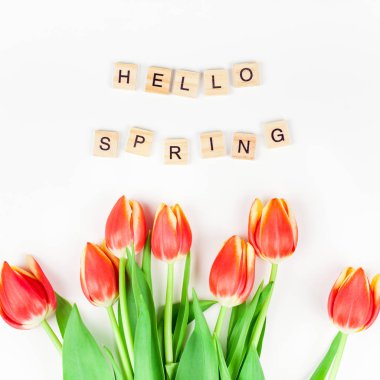 Beyaz zemin üzerine kırmızı lale çiçek