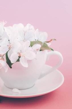 Beyaz bahar elma ağacı bir fincan çiçek çiçeklenme