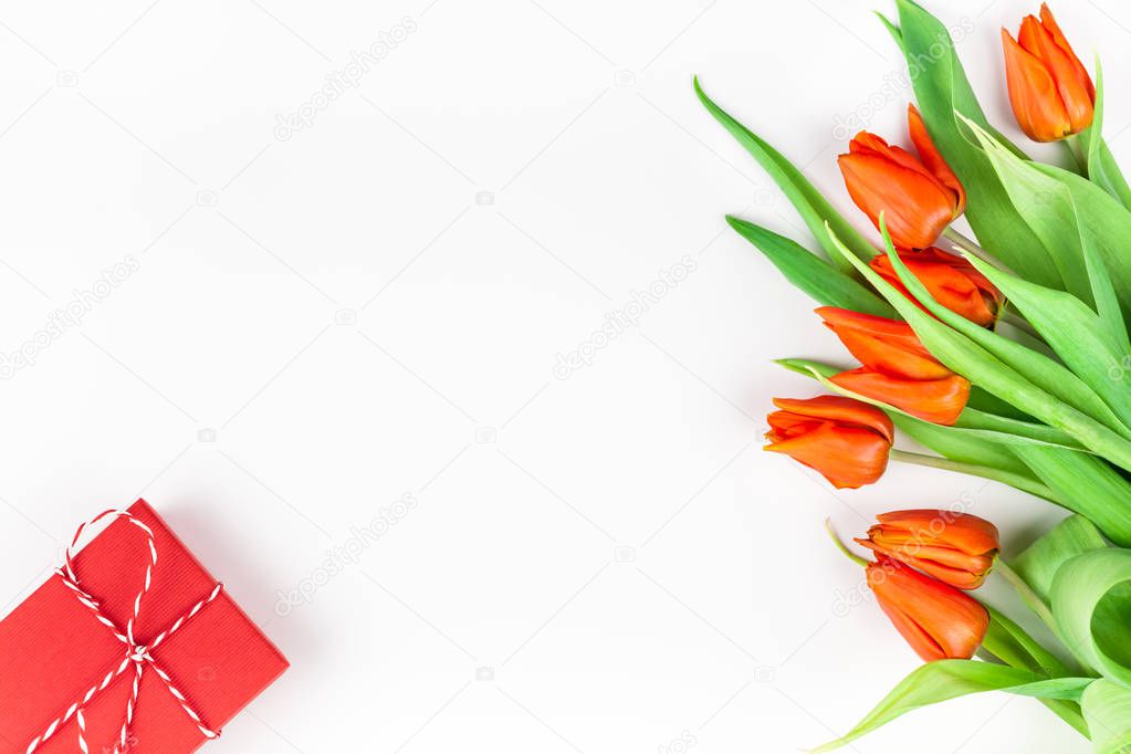 Red tulips flowers on white background