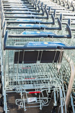 Alışveriş sepetlerini Lidl süpermarkette çizgi