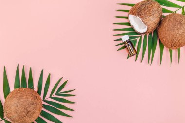 Palmiye yaprakları ve pembe pastel zemin üzerine Hindistan cevizi