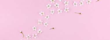 Beyaz bahar kiraz ağacı çiçek açan çiçek deseni