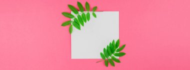 Beyaz mektup taze yeşil yaprakları ile alay etmek yukarıya