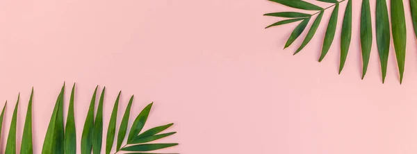 Fondo rosa creativo con hojas de palma tropical — Foto de Stock