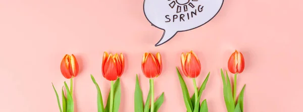 Flores de tulipanes rojos sobre fondo rosa —  Fotos de Stock