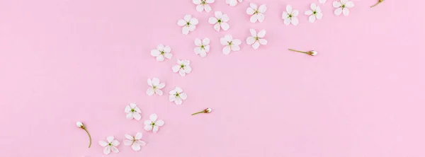 Witte lente kersenboom bloeiende bloemen patroon — Stockfoto