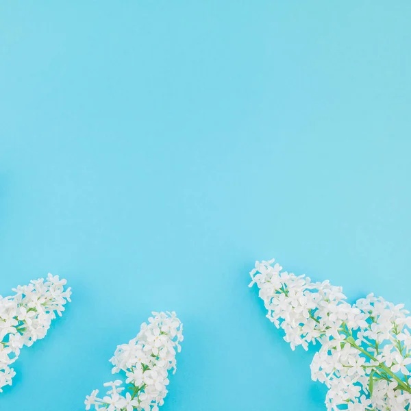 Fondo azul con flores lila blanca — Foto de Stock