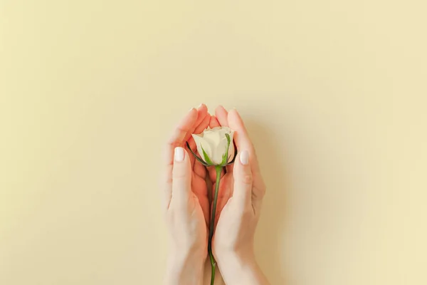 Ramo de rosas blancas frescas — Foto de Stock