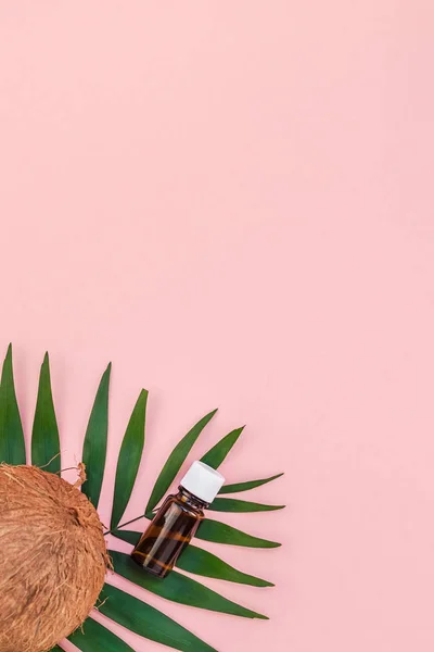 Palmiye yaprakları ve pembe pastel zemin üzerine Hindistan cevizi — Stok fotoğraf