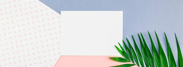 Palmblad blankt papper vykort mockup — Stockfoto
