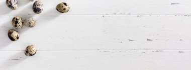 Bıldırcın yumurtası Beyaz ahşap en az arka planda