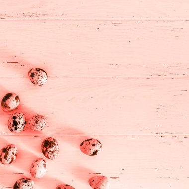 Ahşap en az mercan arka plan üzerinde bıldırcın yumurtası