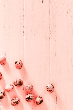 Ahşap en az mercan arka plan üzerinde bıldırcın yumurtası