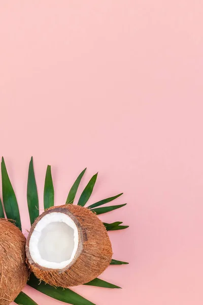 Palm leveleket és a kókuszdió rózsaszín pasztell háttér — Stock Fotó