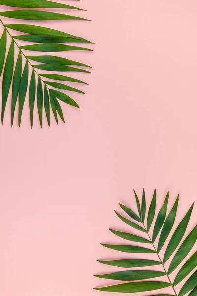 Fondo rosa creativo con hojas de palma tropical — Foto de Stock