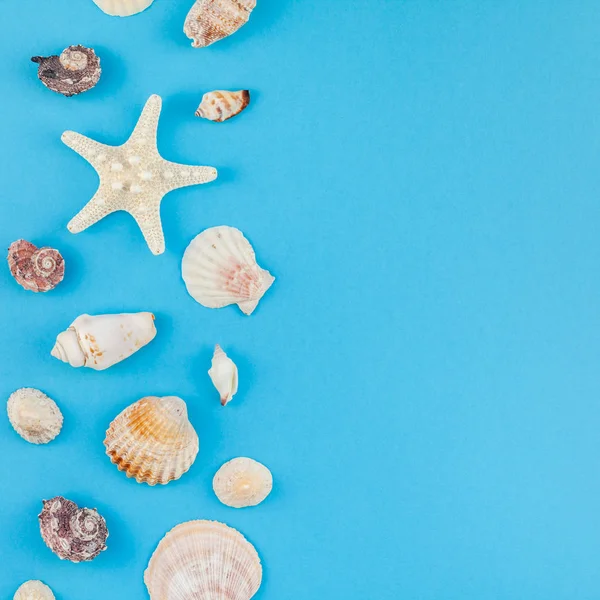 Yaz seyahat tatilkonsepti