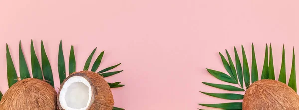 Hojas de palma y cocos sobre fondo pastel rosa — Foto de Stock
