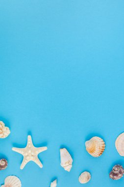 Yaz seyahat tatilkonsepti