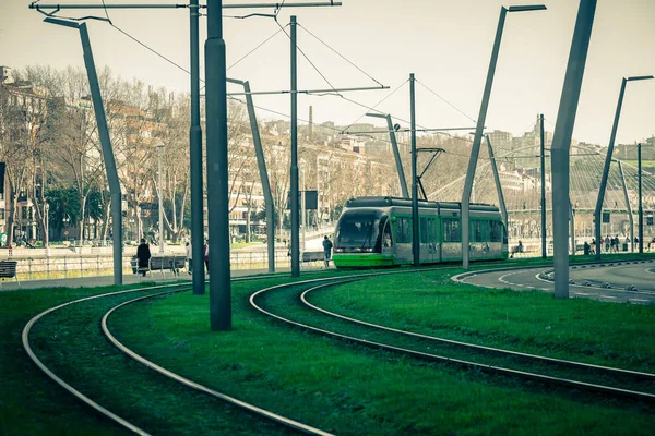 Tram rails covered with green grass — Stock Photo, Image