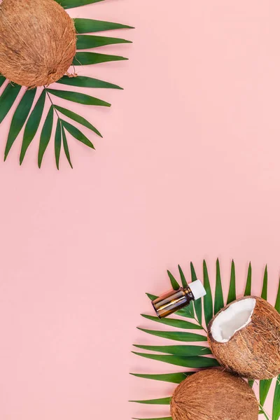Palmiye yaprakları ve pembe pastel zemin üzerine Hindistan cevizi — Stok fotoğraf