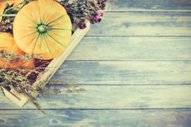 Sonbahar kabakları ve kuru çiçekler düz yatıyordu