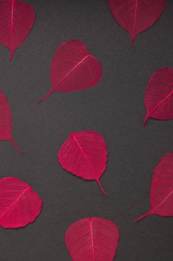 Kırmızı yaprak desen siyah kağıt arka plan