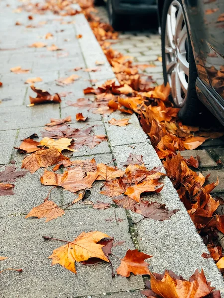 Trockene gelbe Herbstblätter auf dem Bürgersteig der Stadt — Stockfoto