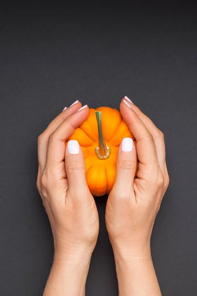 Small orange pumpkin woman hands black background — Stock Photo, Image