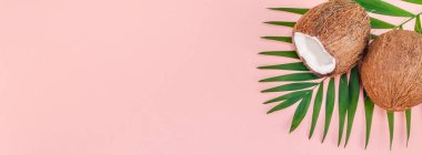 Palmiye yaprakları ve pembe pastel zemin üzerine Hindistan cevizi