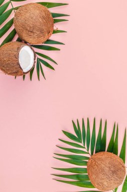 Palmiye yaprakları ve pembe pastel zemin üzerine Hindistan cevizi