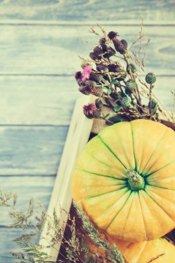 Sonbahar kabakları ve kuru çiçekler düz yatıyordu