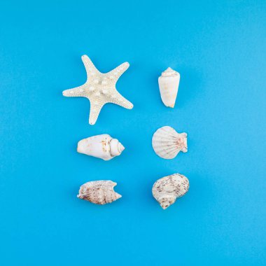 Yaz seyahat tatilkonsepti