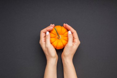 Küçük turuncu kabak kadın eller siyah arka plan