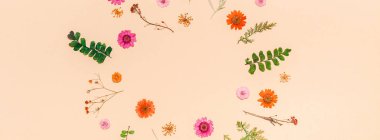 Frame made of dried flowers and leaves clipart
