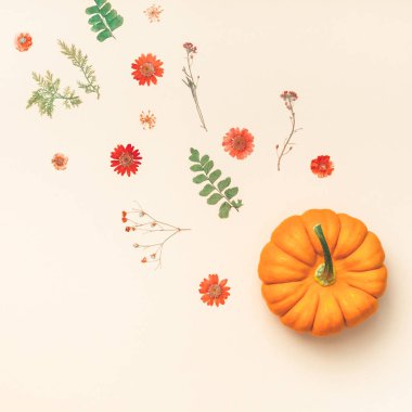 Kabaklar kurutulmuş çiçekler ve yaprakları çerçeve