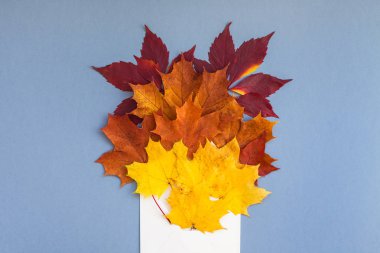 Kağıt zarf mockup sonbahar yaprakları