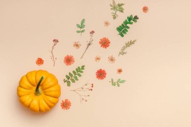 Kabaklar kurutulmuş çiçekler ve yaprakları çerçeve