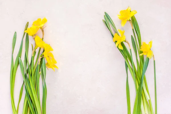 Yellow daffodils spring flowers on pink background — Stock Photo, Image