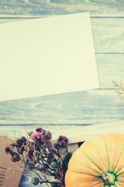 Boş boş mektup sonbahar kabakları ile alay 