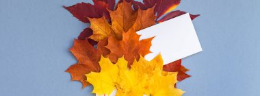 Sonbahar kart mockup yaprakları