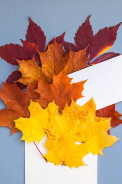 Kağıt zarf mockup sonbahar yaprakları